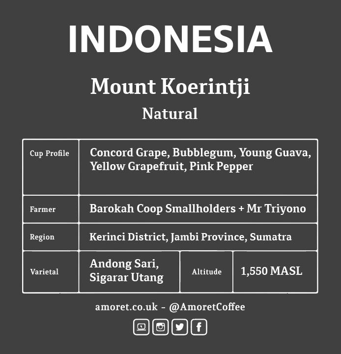 INDONESIA Mount Koerintji (Natural)