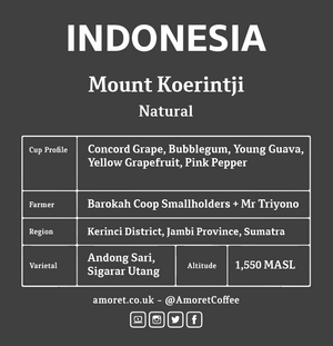 INDONESIA Mount Koerintji (Natural)