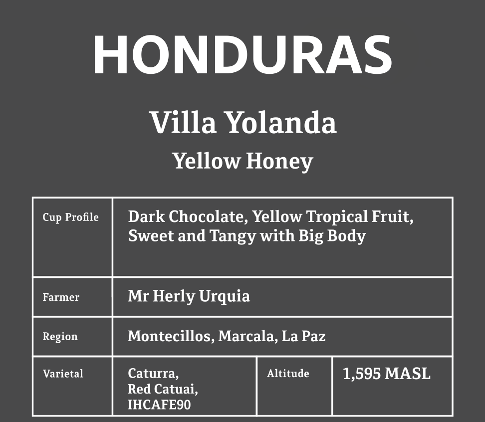 HONDURAS Villa Yolanda (Yellow Honey)